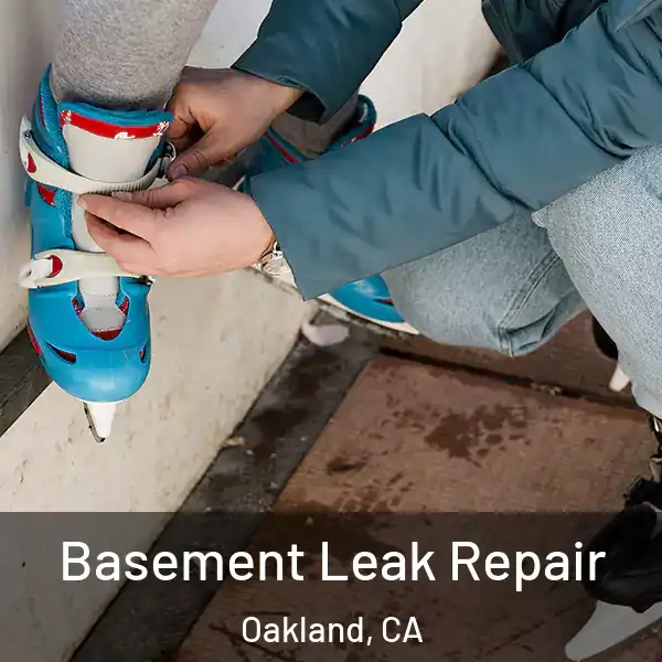  Basement Leak Repair Oakland, CA