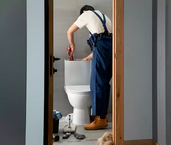 Professional Plumbers for Toilet Bowl Replacement in Mission Viejo, CA: Schedule Affordable Toilet Replacement Services With Us