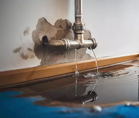 Professional Water Damage Restoration Experts in Mission Viejo, CA — Fast, Reliable & Certified