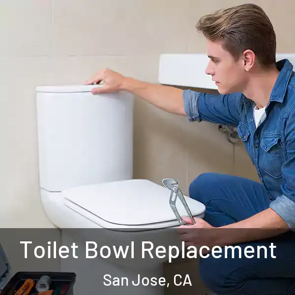  Toilet Bowl Replacement San Jose, CA