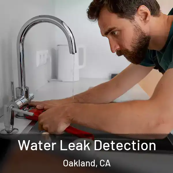  Water Leak Detection Oakland, CA